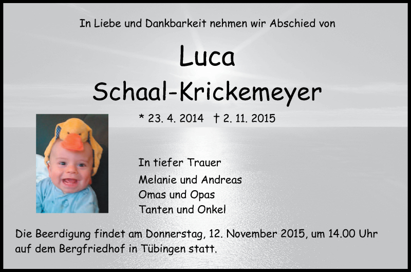  Traueranzeige für Luca Schaal-Krickemeyer vom 09.11.2015 aus Reutlinger Generalanzeiger
