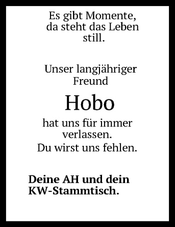 Anzeige von Hobo  von Reutlinger Generalanzeiger